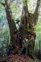 生物多样性的下一个十年1