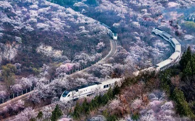 内燃机车重回春运C位