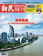 大杨浦的戏剧舞台（2024年 第41期）