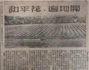 1953—2022从数图中穿行上海市运动会历史0