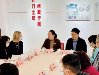 盛弘：全过程人民民主就在阿拉身边0