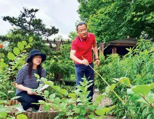 “一把大剪刀走天下”成历史，园林绿化如何吸引更多年轻人？1