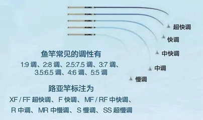 假饵钓真鱼，路亚新手指南2