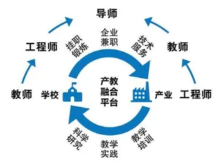 “1环路3阶段”打造教师教学创新团队0