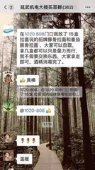 八旬老人的女儿：我潜入了可能是上海最大楼组的买菜群2