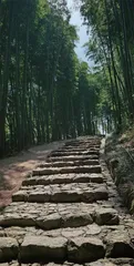 径山，茶有道