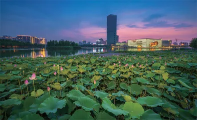 五个新城，新在哪里？