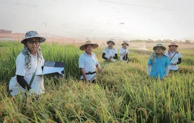 解决饥饿的背后是政治1