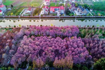 “海上花岛”的乡村振兴示范