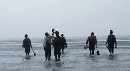 大江大河，逐浪弄潮