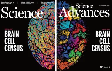 科学家揭示3D人类脑细胞图谱，从分子机制鉴定一百八十八种不同细胞类型