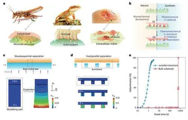 将碳排放量降低两个数量级科学家开发电子器件绿色制造技术1