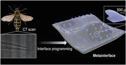 研究人员通过蜜蜂针获得灵感研发超表面结构能用于航空航天和机器人0