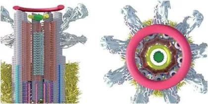 科学家用先进的成像技术揭开细胞结构的神秘面纱