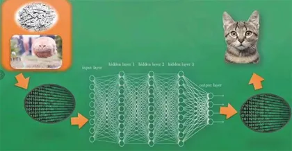 人工神经购物诞生是由猫咪启发的？2