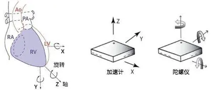 手机放胸口两分钟就能发现致命心脏病