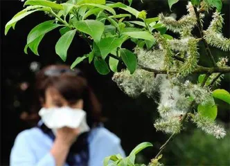 ⼩⼼“乱花渐欲迷⼈眼”花粉过敏怎么办0