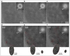 科学家打造基于量子芯片的神经储存器有望用于自然语言处理任务2