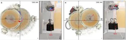 章鱼和蜗牛启发科学家研发人造吸盘可用于机器人抓取与攀爬1