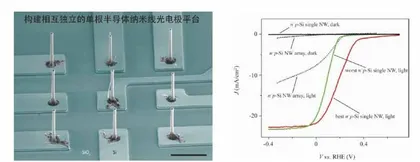 研制微生物－纳米复合新型材料将微生物燃料电池穿在身上1