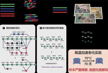 DNA存储⼜⼀重⼤突破！合成⽣物学团队将⼗幅敦煌壁画存储于DNA1