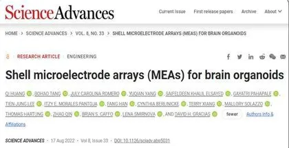 为神经系统疾病研究提供新途径全球最小脑电帽可拓展微型大脑类器官的研究与测试0