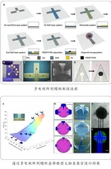 为神经系统疾病研究提供新途径全球最小脑电帽可拓展微型大脑类器官的研究与测试2