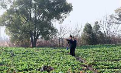 “何以良渚”背后的检察守护0