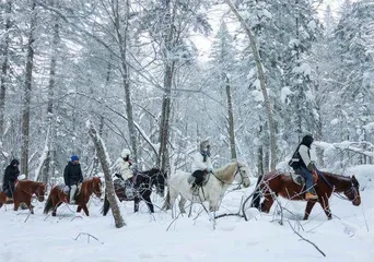 长白山雪国之旅