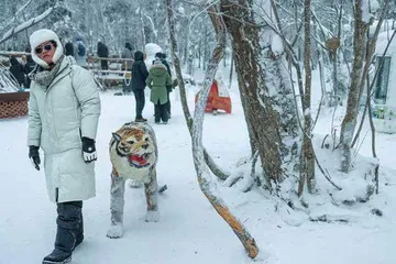 长白山雪国之旅8