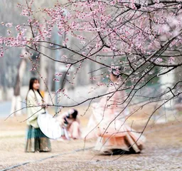 谁为古风写真买单？