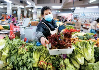 没有香椿的春天，是不完整的