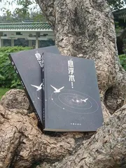 陈崇正：在新南方开启不确定的创作美学2