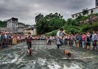 歌圩上的农民运动会