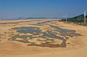 鄱阳湖的极端干旱、建闸之争与生态成本0