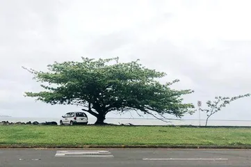 夏威夷的火山往事2