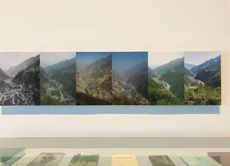 串联起身体和自然的上海双年展“水体”0