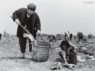 李行：为两岸的电影，为中国的电影1