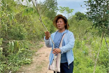 野象出走后，忙着为它们修复雨林的人5