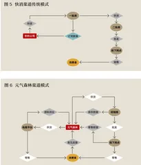 两种力量，三维模式，元气森林为快消注入新元气2