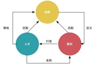 公牛集团：插座变聪明，组织新演进，人才再定义2