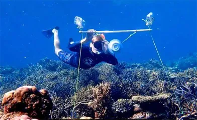 生物声学减少噪声4