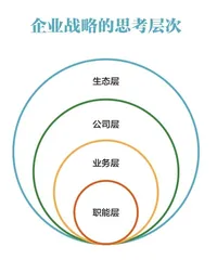 从多元化到生态：战略思维的跨越1