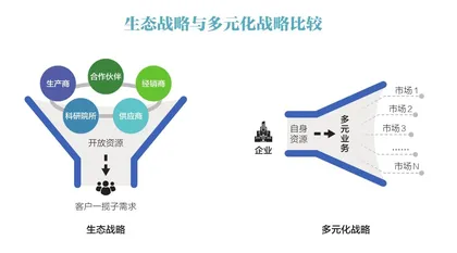 从多元化到生态：战略思维的跨越2