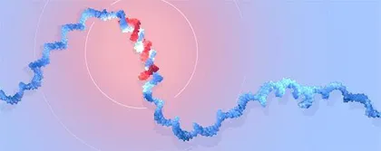 微小RNA：小小的基因调控者0