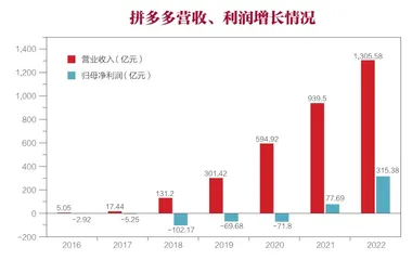 我们真的看懂拼多多了吗