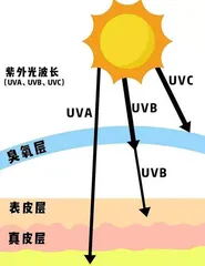 与“敏感肌”的和解之道1