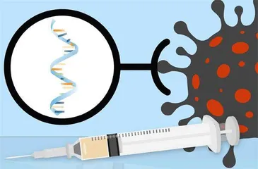 用mRNA疫苗抵御传染病3