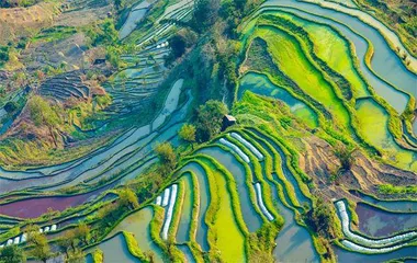 红河哈尼梯田：青梯瑶圃天地和1