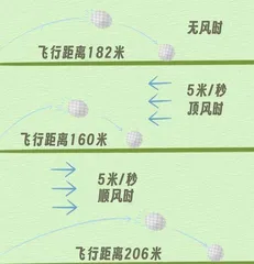 “靠天吃饭”的亚运会项目3